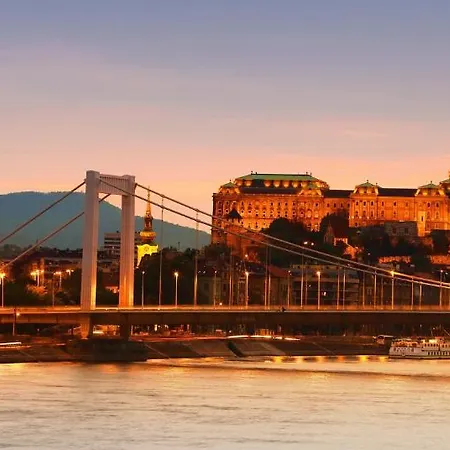 Rubin Wellness & Conference