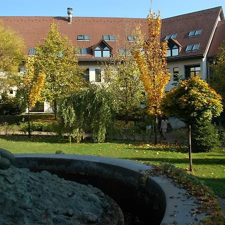 Rubin Wellness & Conference