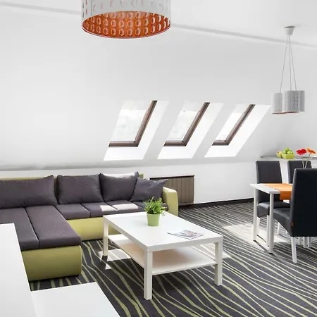 Rubin Wellness & Conference