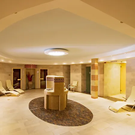 Rubin Wellness & Conference