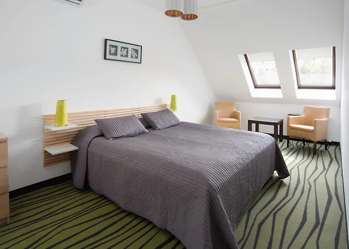 Rubin Wellness & Conference