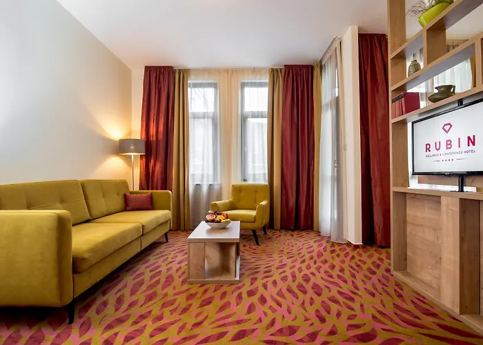 Rubin Wellness & Conference