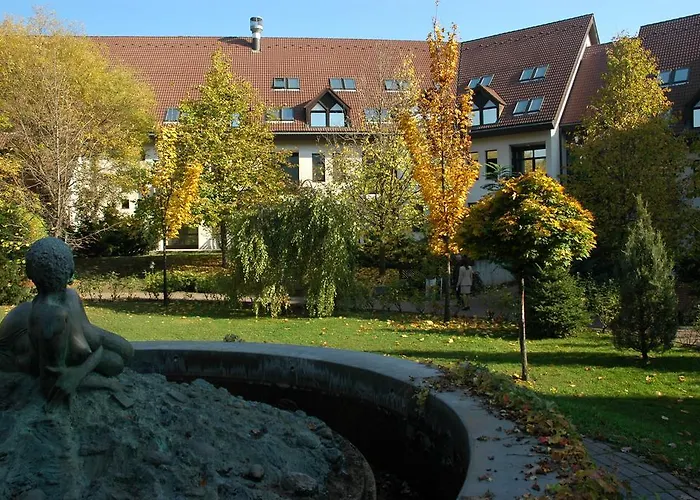 Rubin Wellness & Conference