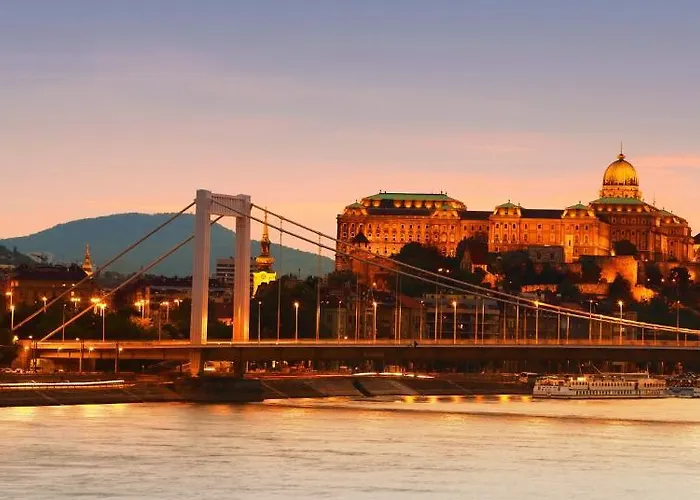 Rubin Wellness & Conference